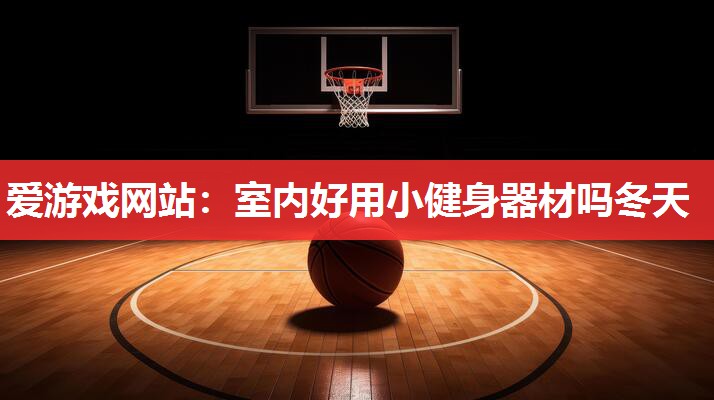 爱游戏网站：室内好用小健身器材吗冬天