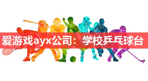 爱游戏ayx公司：学校乒乓球台