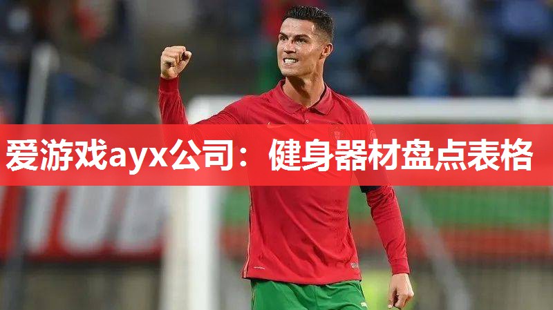 爱游戏ayx公司：健身器材盘点表格