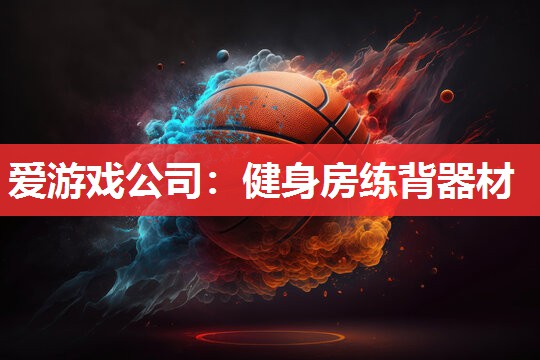 爱游戏公司：健身房练背器材
