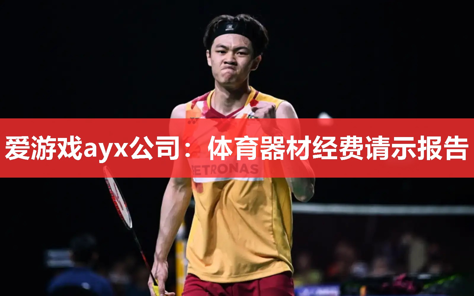 爱游戏ayx公司：体育器材经费请示报告