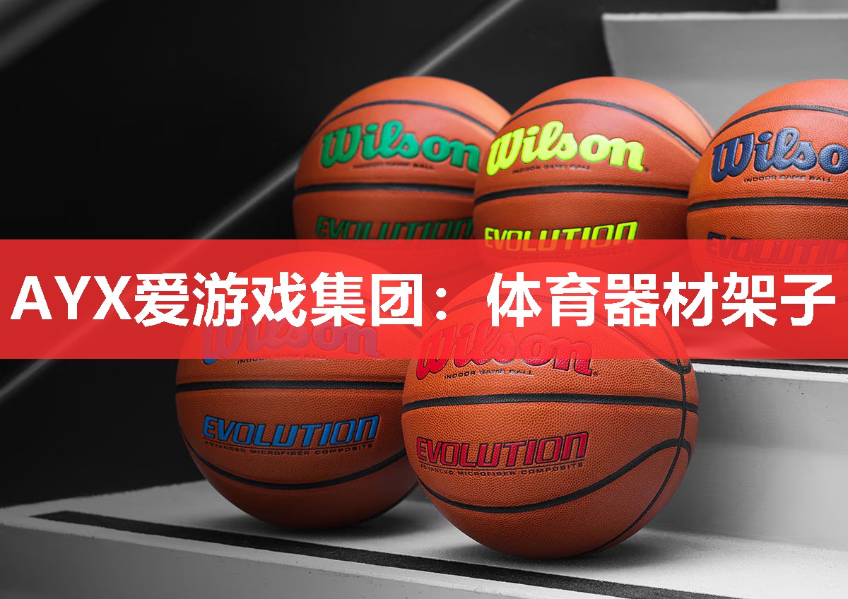 AYX爱游戏集团：体育器材架子
