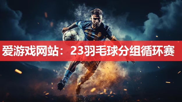 爱游戏网站：23羽毛球分组循环赛