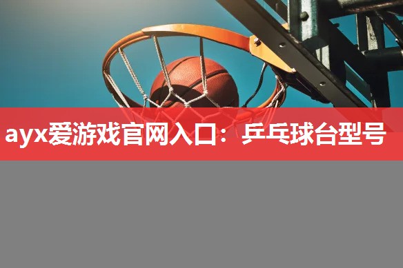 ayx爱游戏官网入口：乒乓球台型号