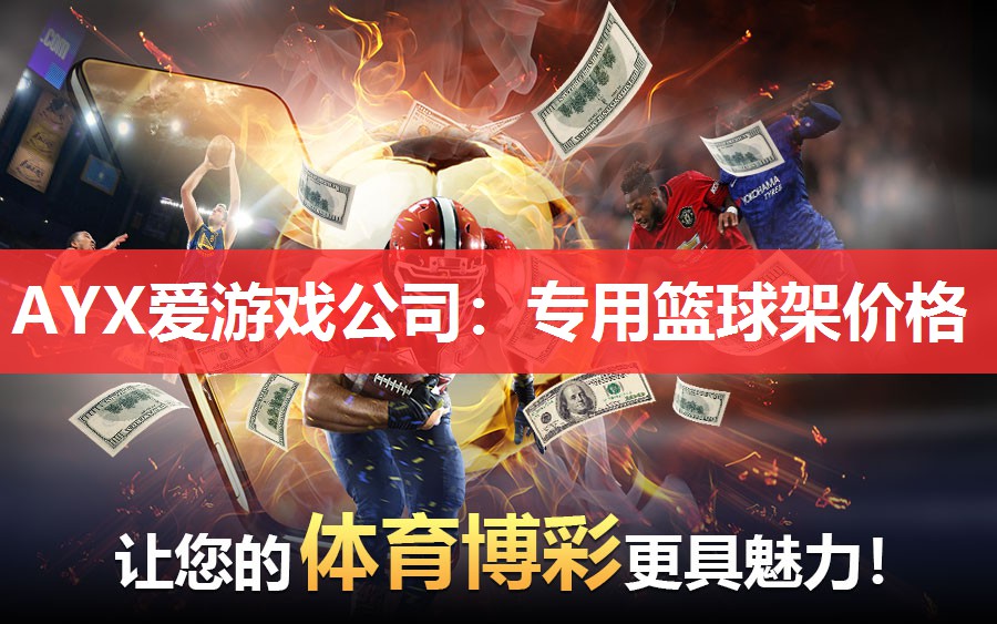 AYX爱游戏公司：专用篮球架价格