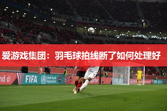 爱游戏集团：羽毛球拍线断了如何处理好