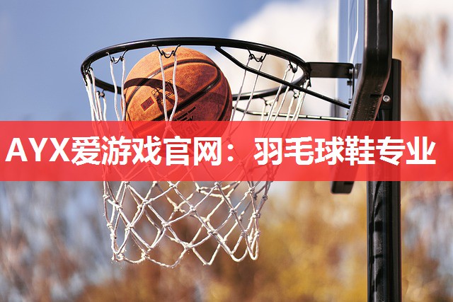 AYX爱游戏官网：羽毛球鞋专业