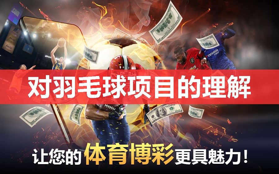 对羽毛球项目的理解