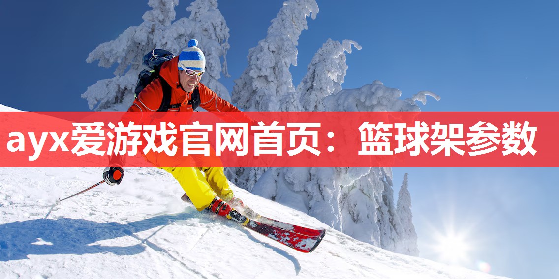 ayx爱游戏官网首页：篮球架参数