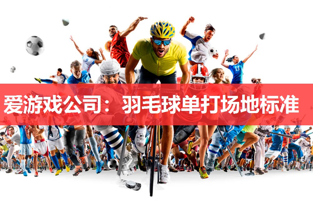 爱游戏公司：羽毛球单打场地标准