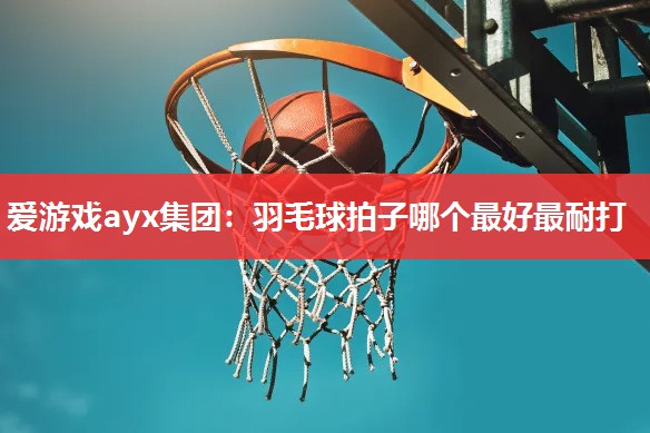 爱游戏ayx集团：羽毛球拍子哪个最好最耐打