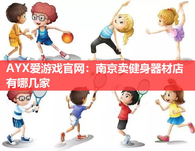 AYX爱游戏官网：南京卖健身器材店有哪几家