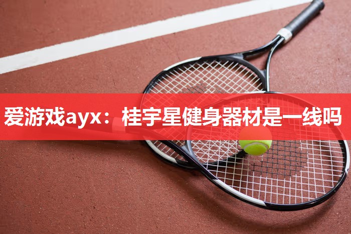 爱游戏ayx：桂宇星健身器材是一线吗