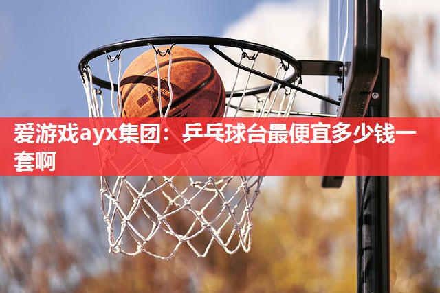 爱游戏ayx集团：乒乓球台最便宜多少钱一套啊