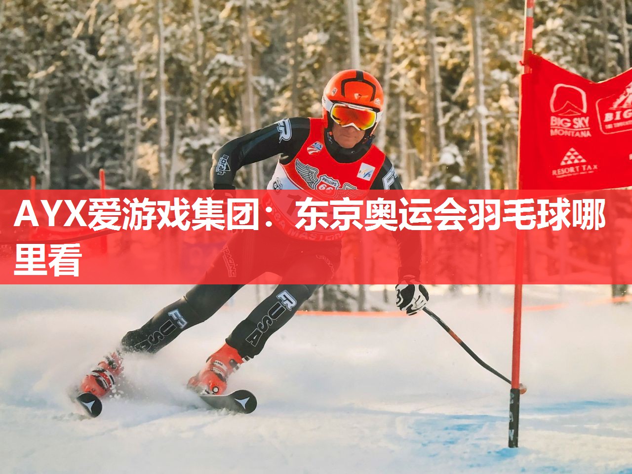 AYX爱游戏集团：东京奥运会羽毛球哪里看
