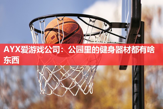 AYX爱游戏公司：公园里的健身器材都有啥东西