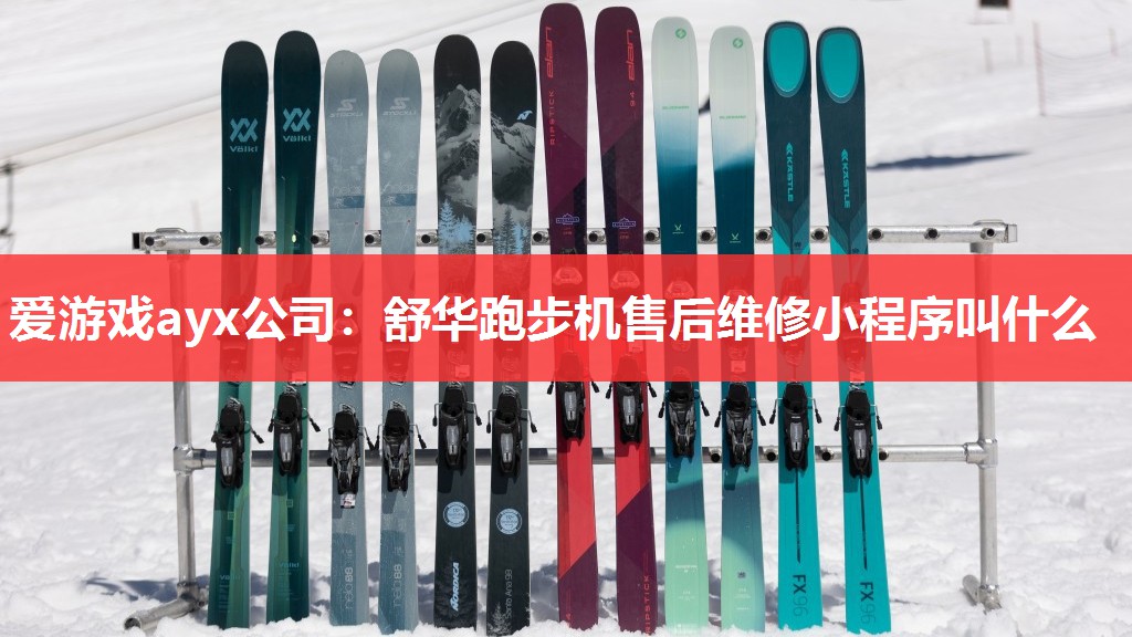 爱游戏ayx公司：舒华跑步机售后维修小程序叫什么