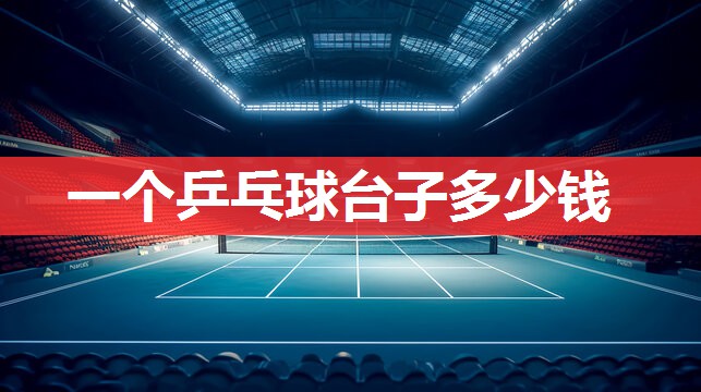 一个乒乓球台子多少钱