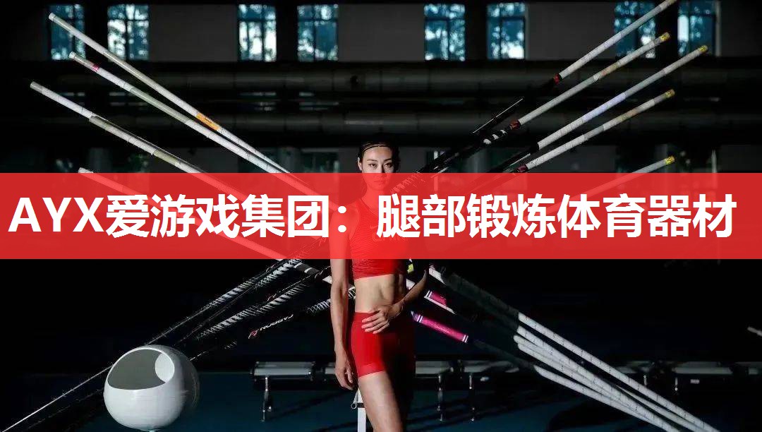 AYX爱游戏集团：腿部锻炼体育器材