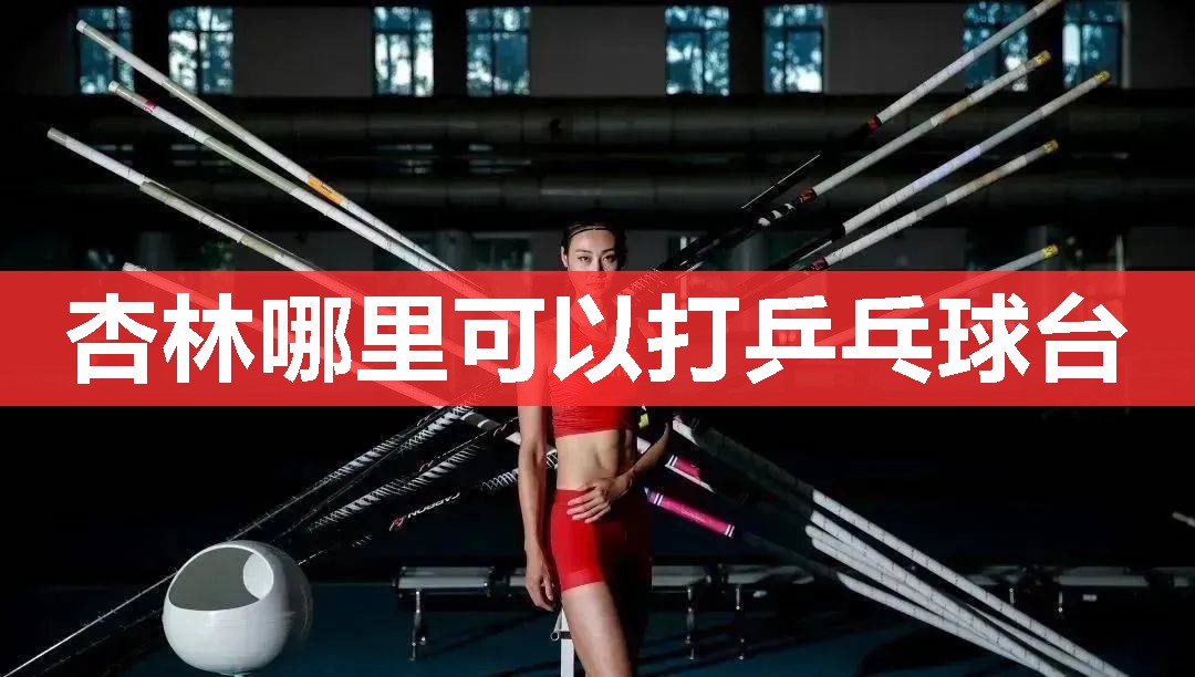 杏林哪里可以打乒乓球台