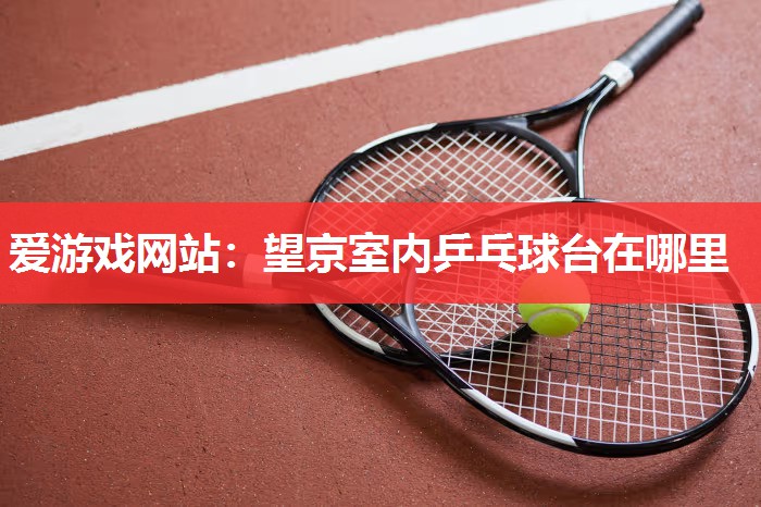 望京室内乒乓球台在哪里 望京室内乒乓球台在哪里