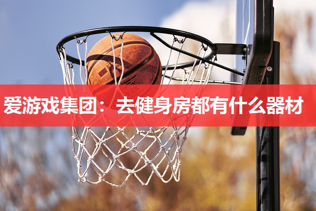去健身房都有什么器材 去健身房都有什么器材