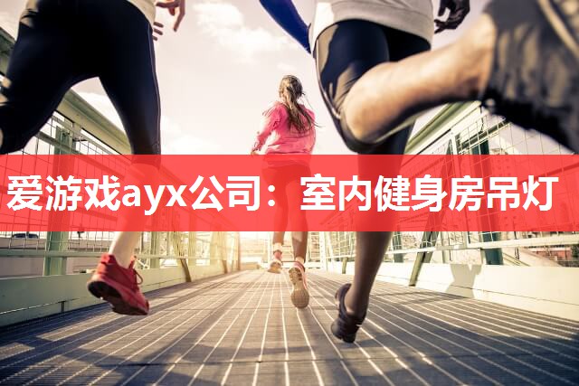 室内健身房吊灯 室内健身房吊灯