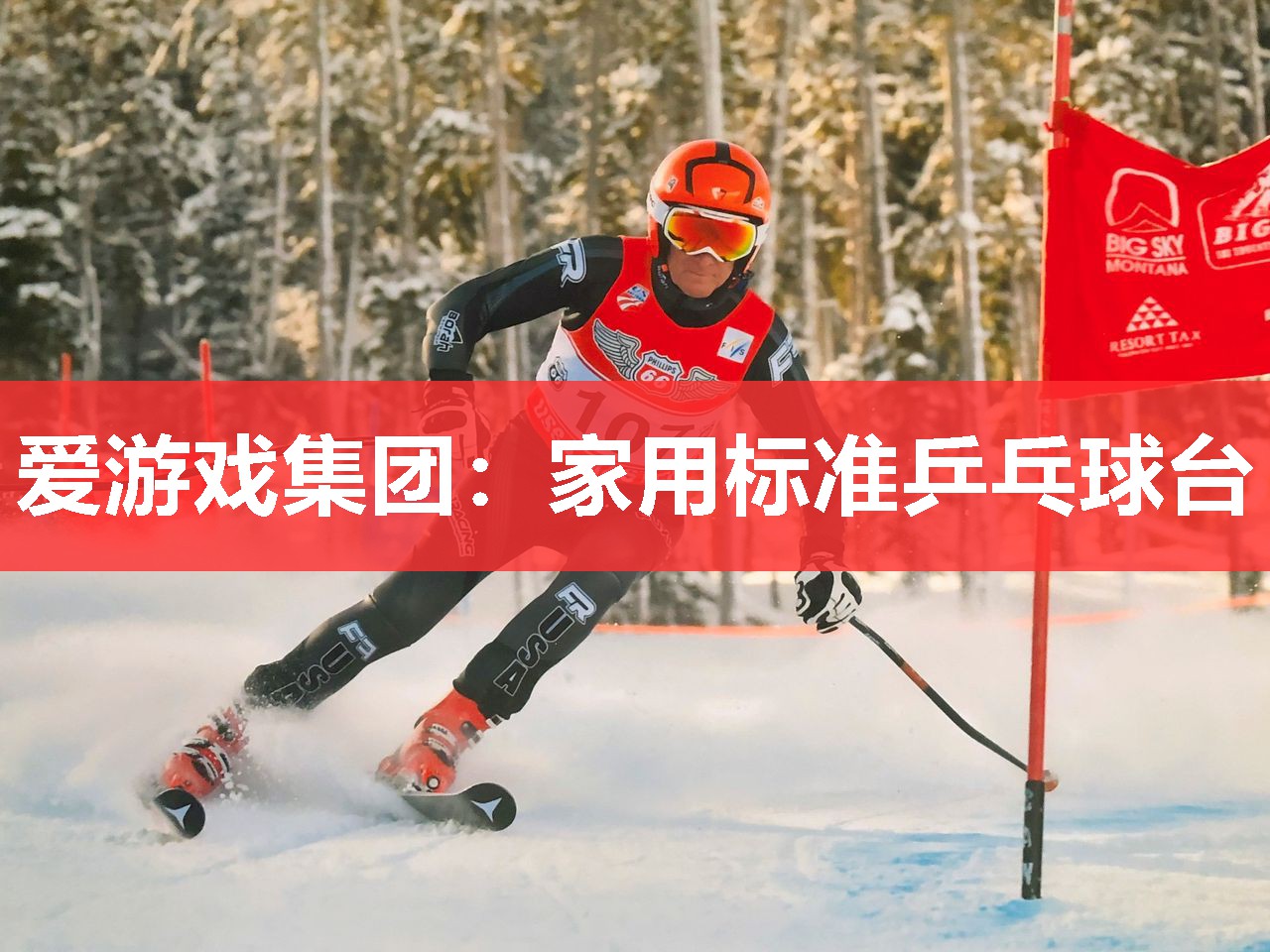 家用标准乒乓球台 家用标准乒乓球台