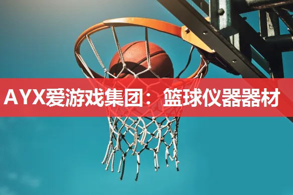 篮球仪器器材 篮球仪器器材