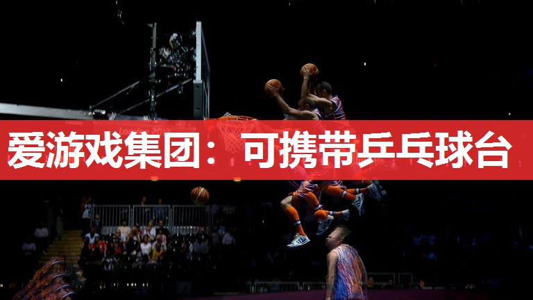 可携带乒乓球台 可携带乒乓球台