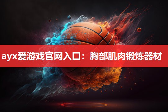 胸部肌肉锻炼器材 胸部肌肉锻炼器材