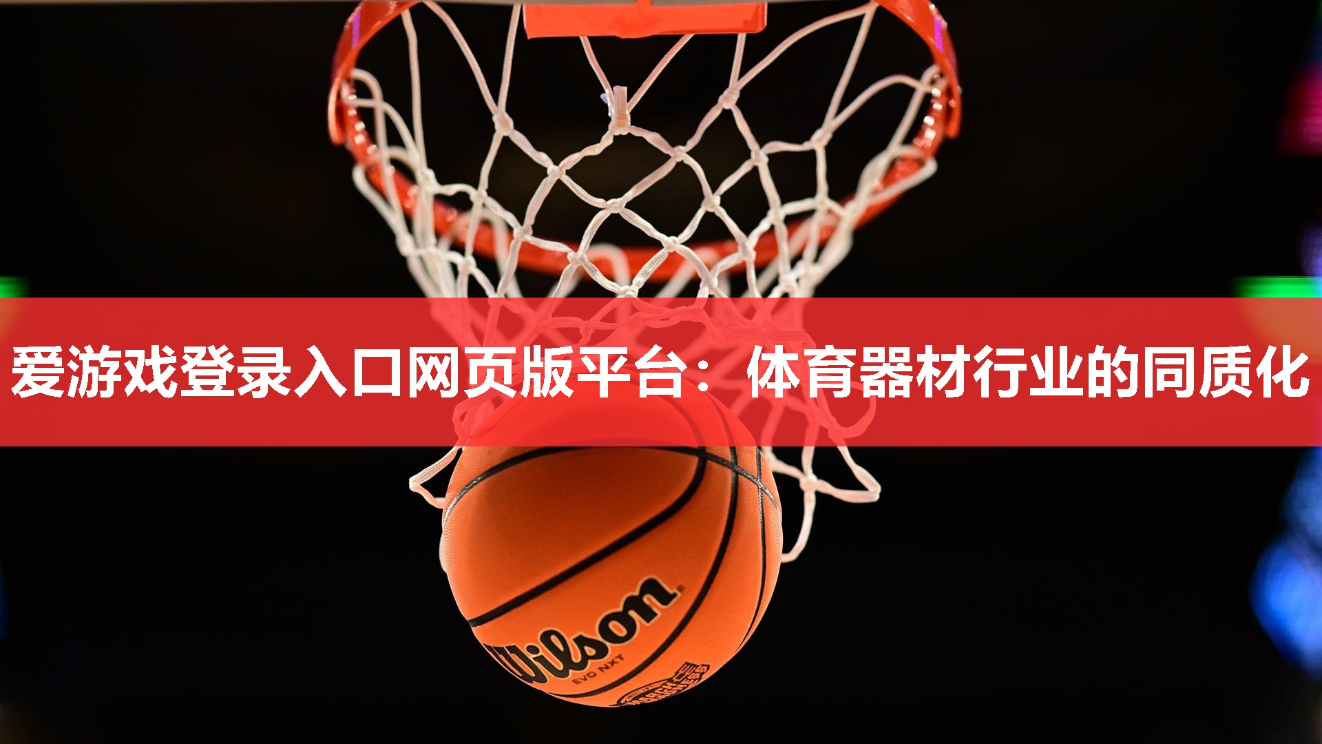 体育器材行业的同质化 体育器材行业的同质化