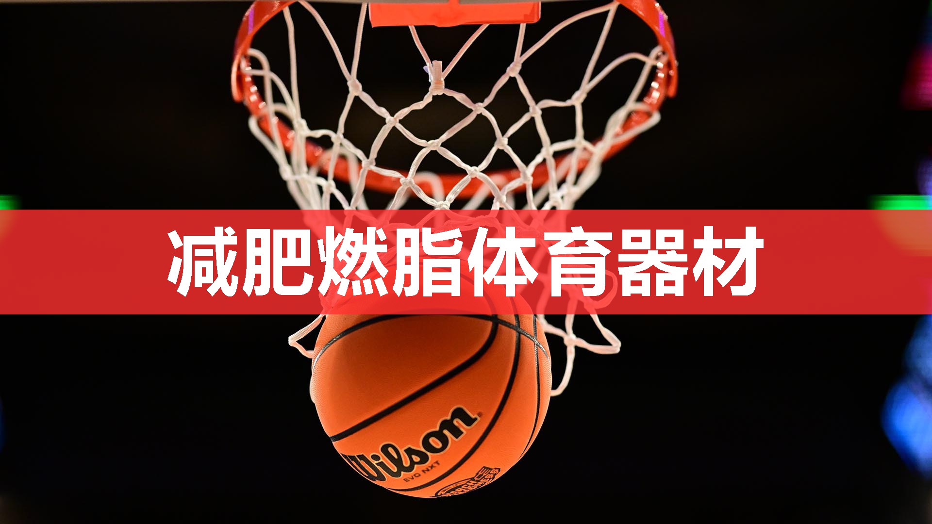 减肥燃脂体育器材 减肥燃脂体育器材