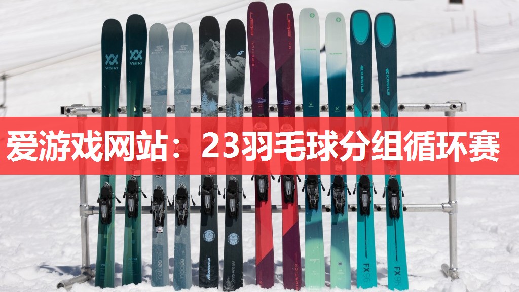 23羽毛球分组循环赛 23羽毛球分组循环赛