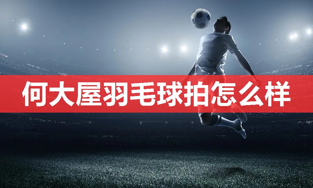 何大屋羽毛球拍怎么样 何大屋羽毛球拍怎么样