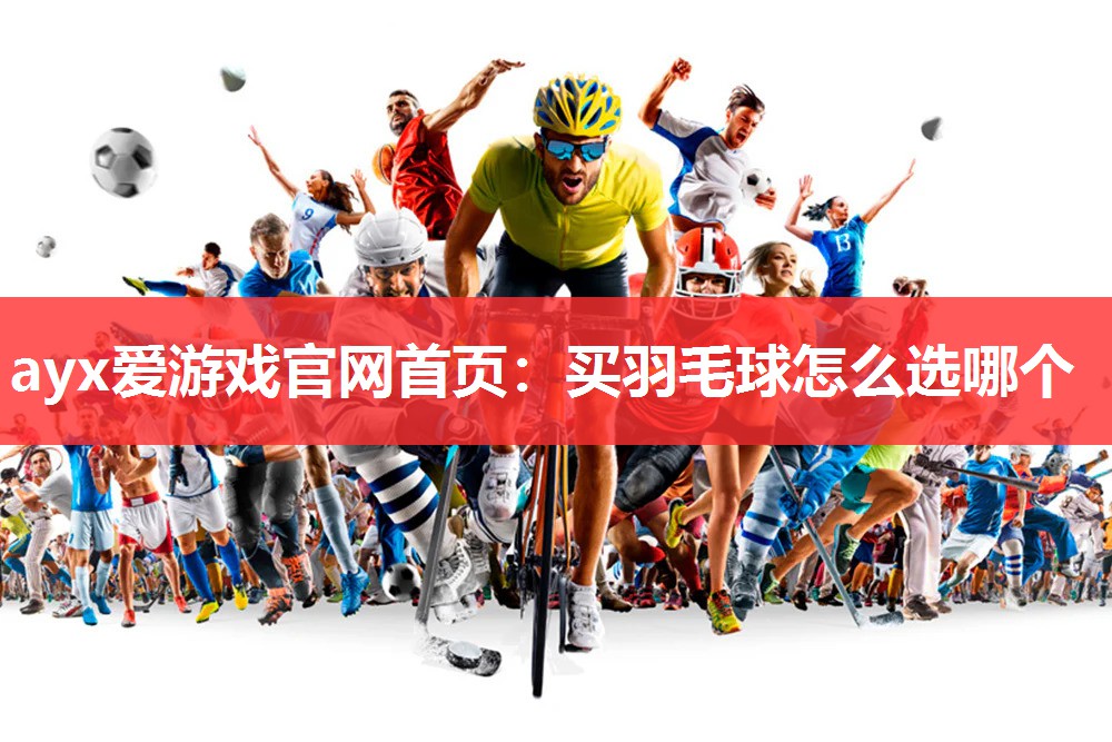 买羽毛球怎么选哪个 买羽毛球怎么选哪个