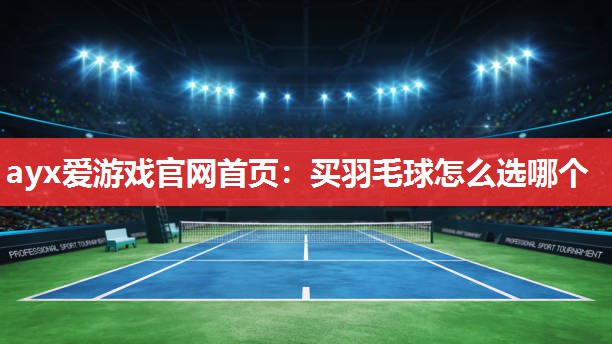 买羽毛球怎么选哪个 买羽毛球怎么选哪个