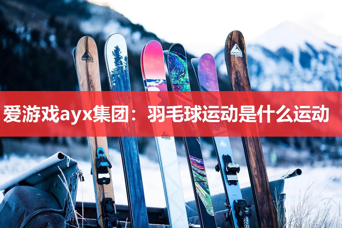 羽毛球运动是什么运动 羽毛球运动是什么运动