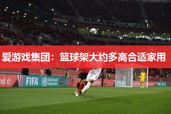 篮球架大约多高合适家用 篮球架大约多高合适家用
