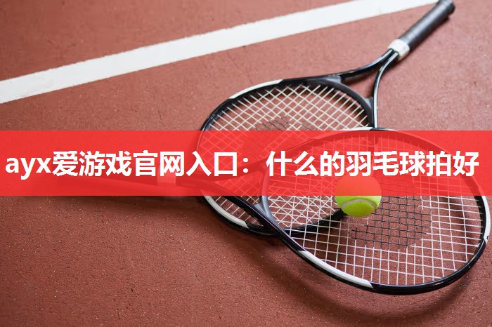 什么的羽毛球拍好 什么的羽毛球拍好