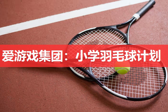 小学羽毛球计划 小学羽毛球计划