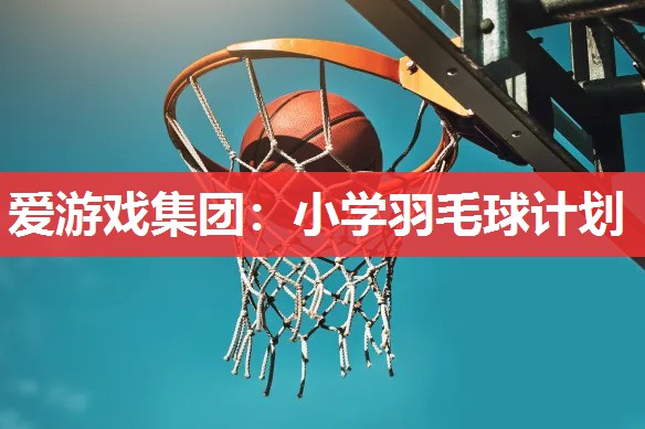 小学羽毛球计划 小学羽毛球计划