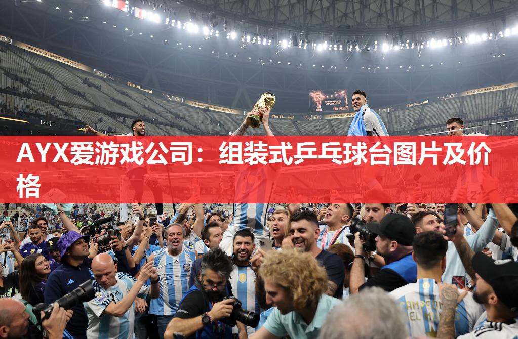组装式乒乓球台图片及价格 组装式乒乓球台图片及价格